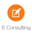 E-Consulting